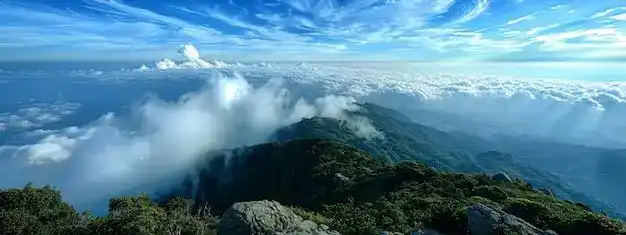 安提瓜护照移民费用：2026年是否增加面试？