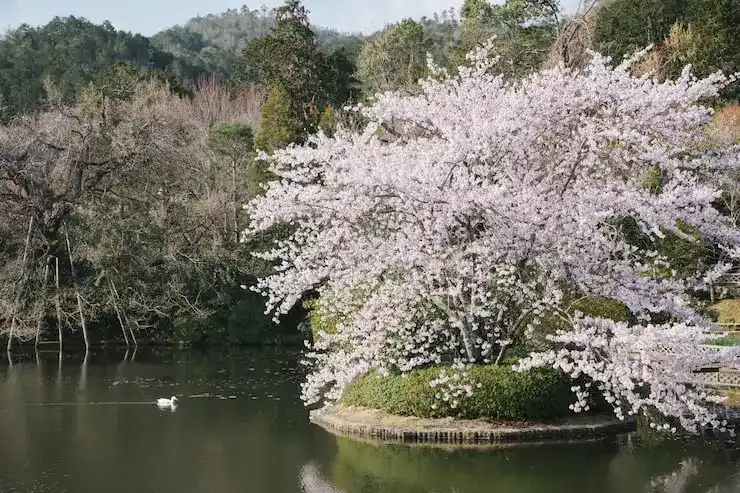 匈牙利留学移民的热门选择