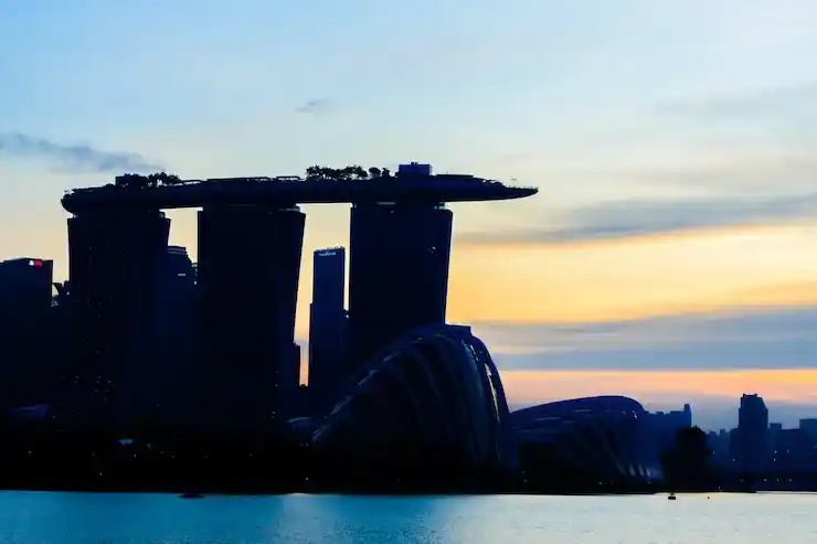 新加坡家族办公室