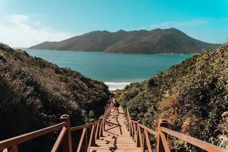 瓦努阿图护照办理全流程步骤与常见问题