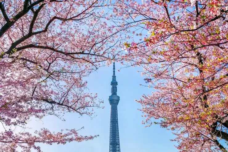 美国工作签证的申请条件与流程