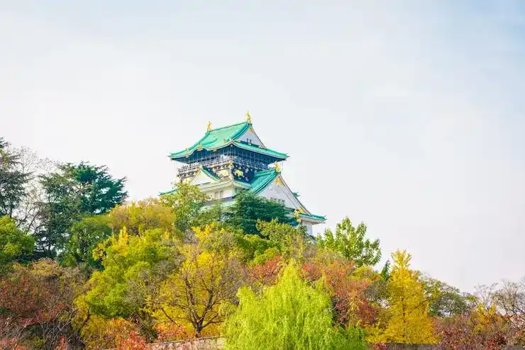 选择比利时当移民的优势
