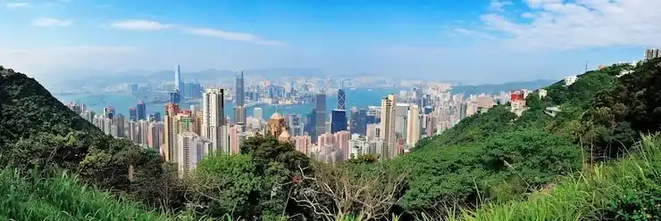 香港高才续签，续签需要提供工作合同吗？
