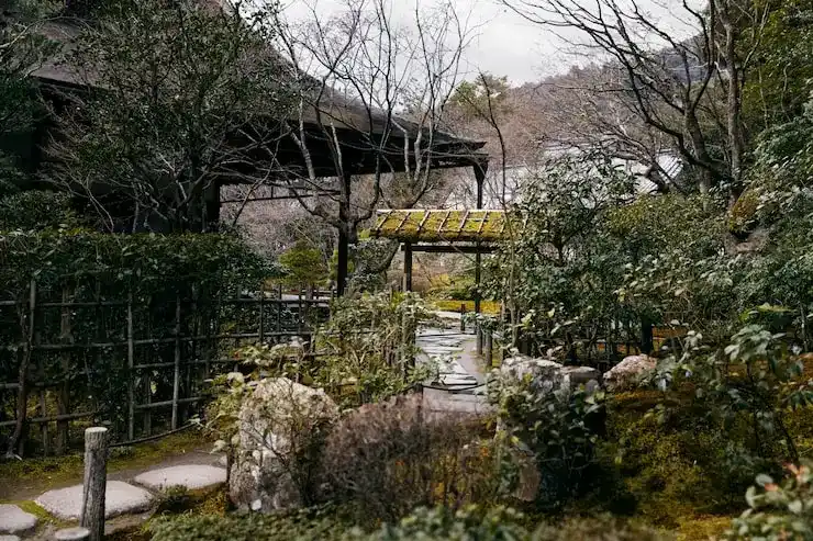 移民到