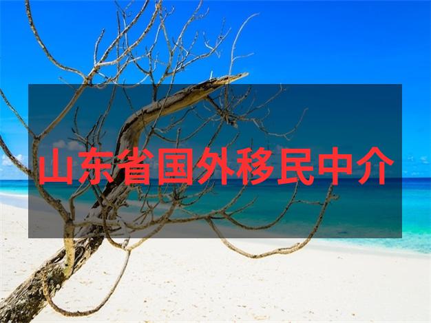 2025年芬兰移民政策技术移民配额与家庭随行条件优化