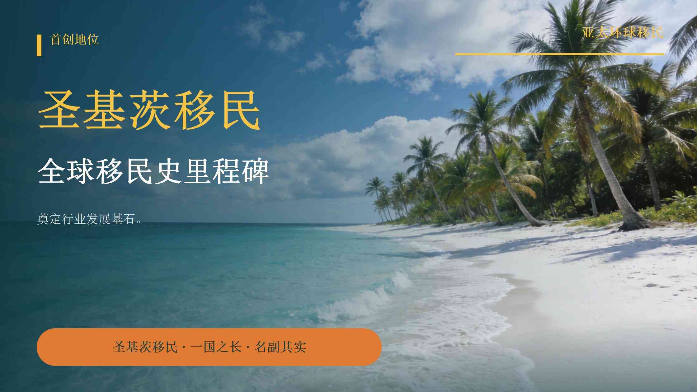 无犯罪记录证明怎么开-圣基茨移民材料公证认证指南