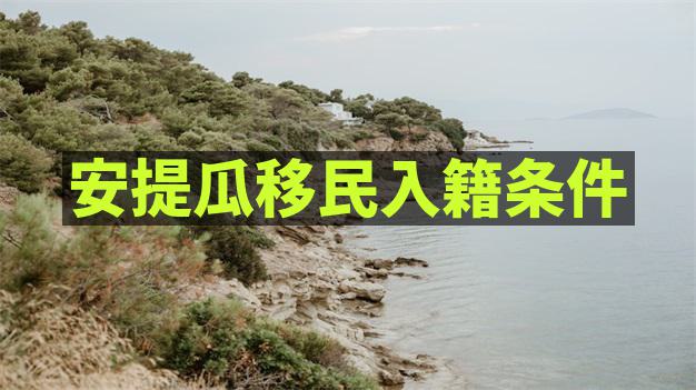 移民安提瓜在当地建立良好商业人脉资源的办法