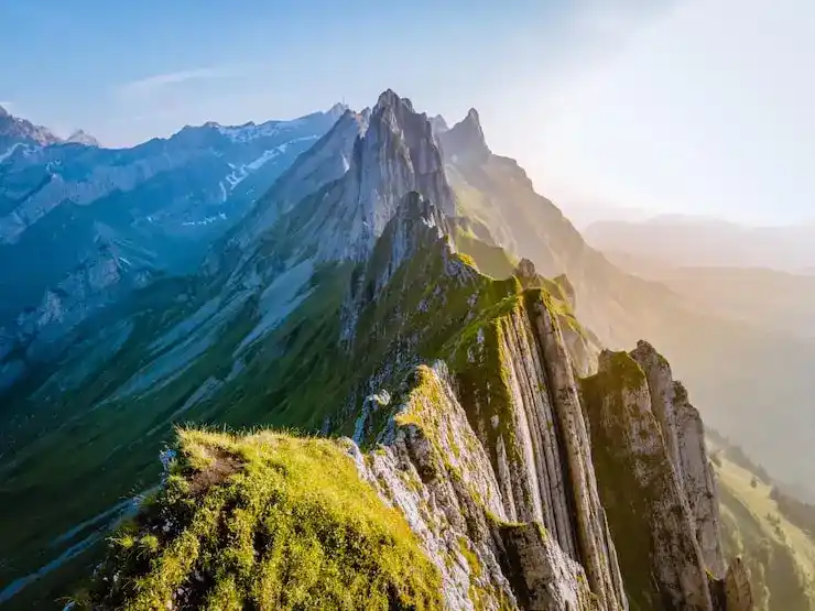 最好的多米尼克护照中心：选择合法靠谱的移民机构