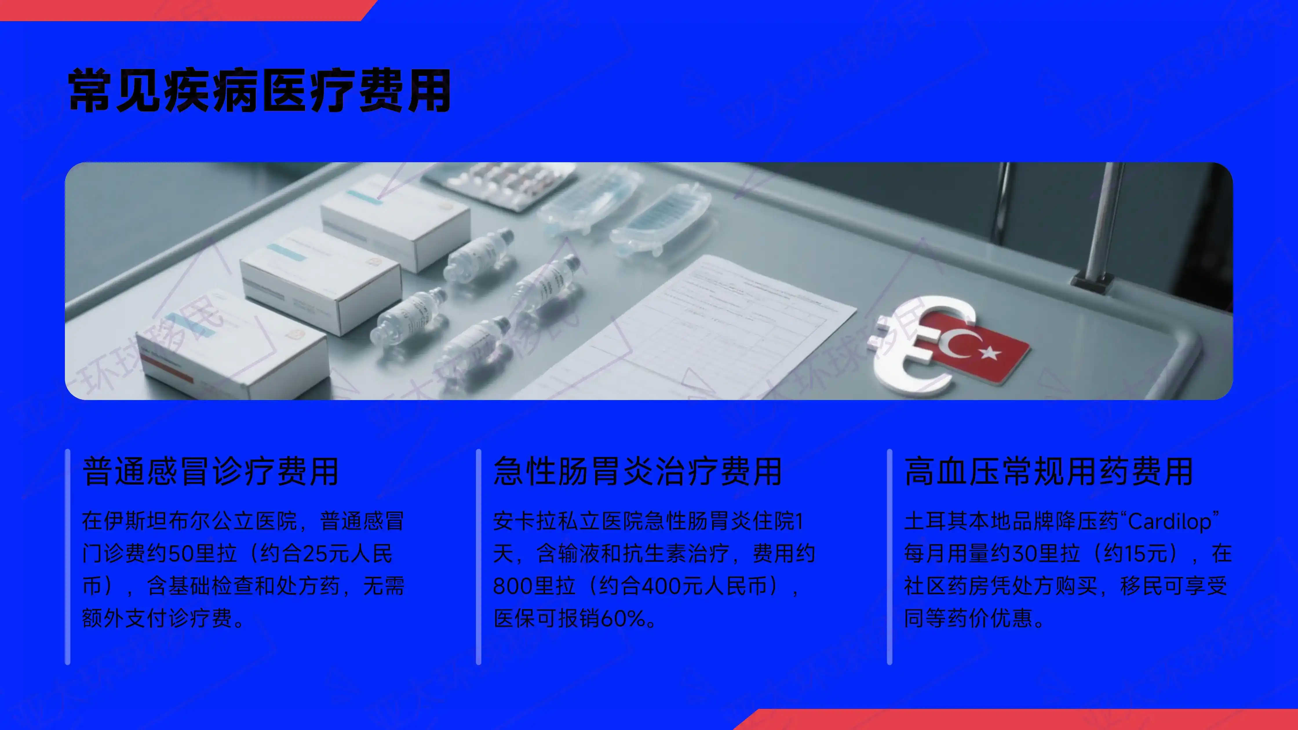 无移民监的全球身份，土耳其移民的灵活性与自由选择