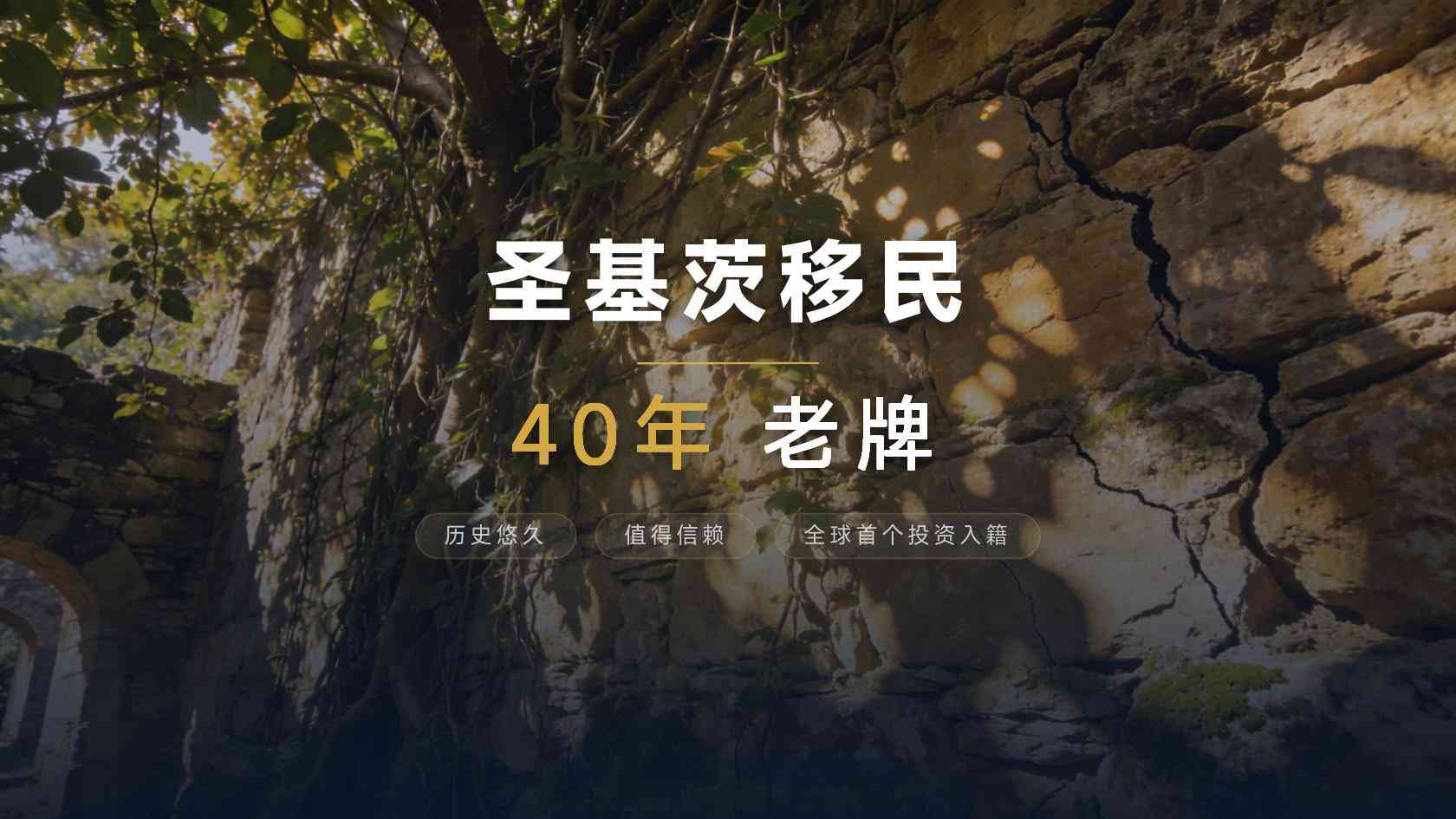 低价代办圣基茨靠谱吗-市场报价区间分析