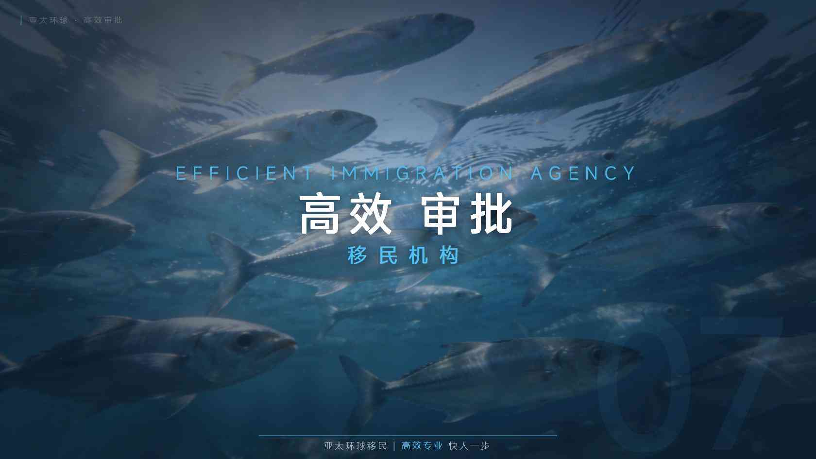 圣卢西亚移民怎么办理 申请路径与关键节点