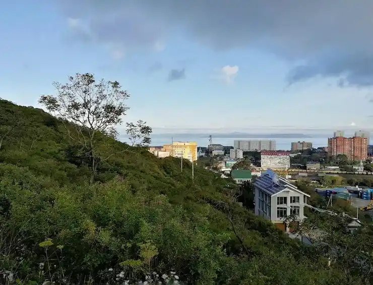 到瓦努阿图护照移民完整流程详解，获取海外身份攻略