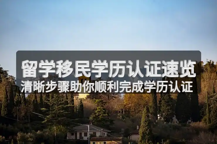 留学生在新加坡好移民吗？最新政策与申请成功率