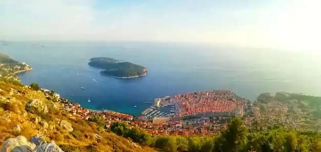 土耳其移民经济地位，G20成员国的商业机遇