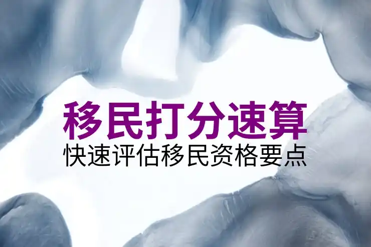 新加坡移民局中文网使用技巧