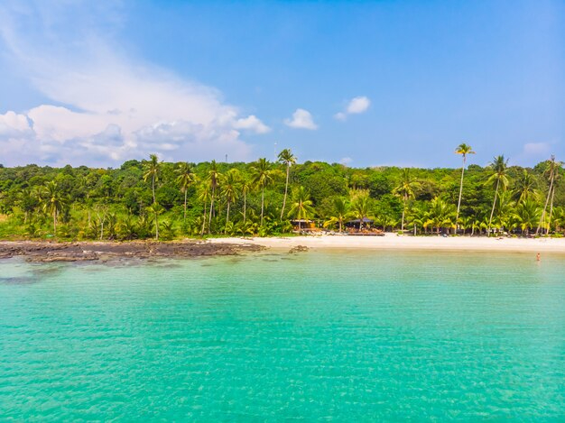 瓦努阿图埃法特岛Efate island Vanuatu的学区房选购指南