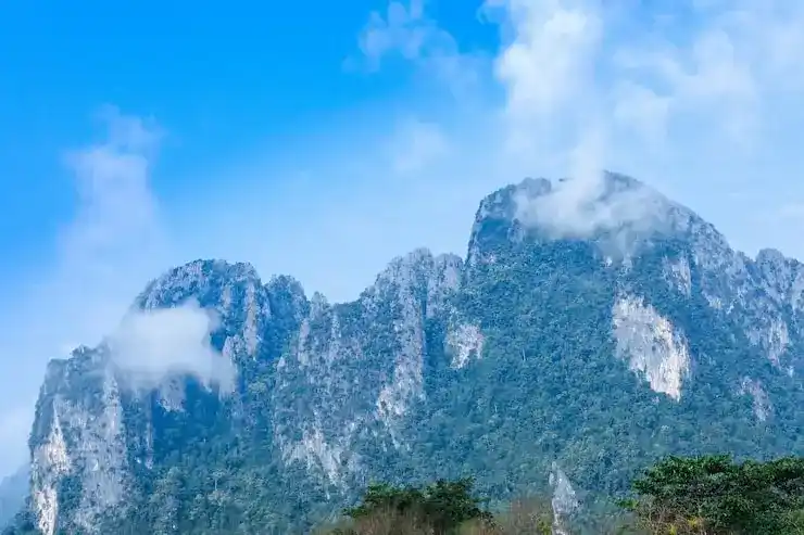 保加利亚公民身份可以传承给下一代吗？