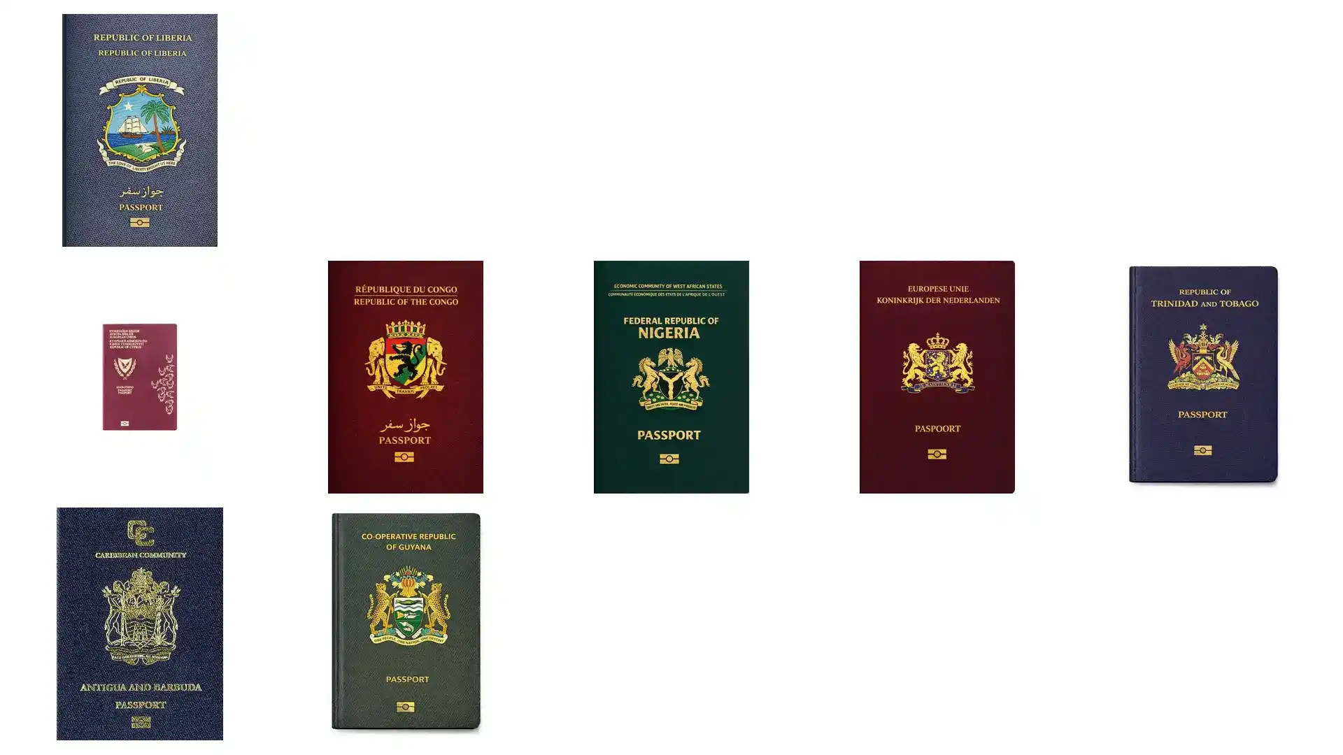 埃及护照转籍后期费用有哪些？入籍申请费多少