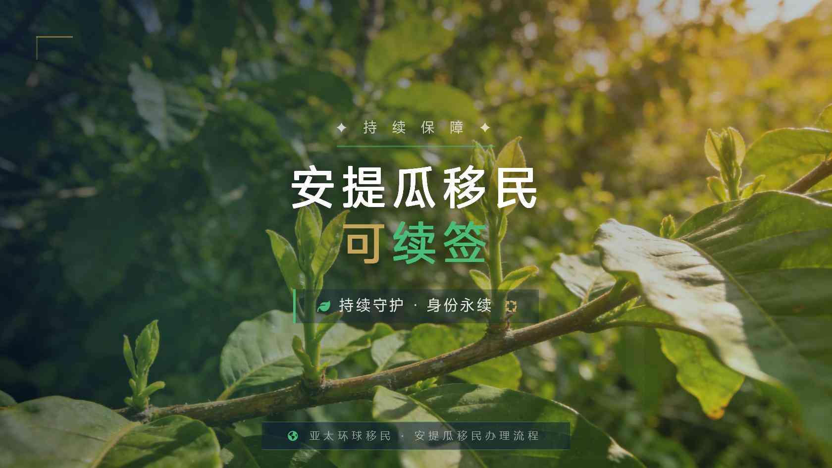 2026年安提瓜和巴布达移民申请人正在接受刑事调查还能递交吗