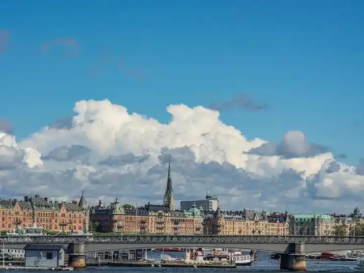 土耳其移民护照申领的详细流程，怎么避免遗漏关键步骤？