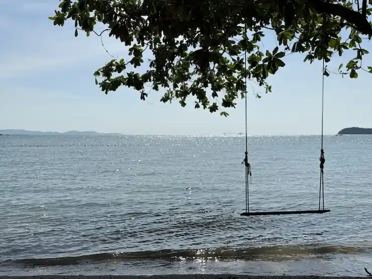 新加坡创业准证持有者可以更换公司股东吗？会影响身份吗？