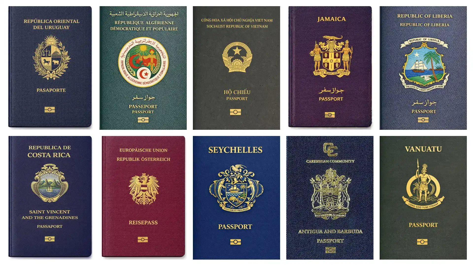 埃及移民真实费用揭秘，不含房产持有税