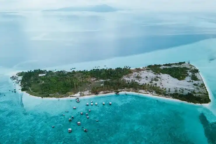 澳洲移民专业2025年紧缺职业预测