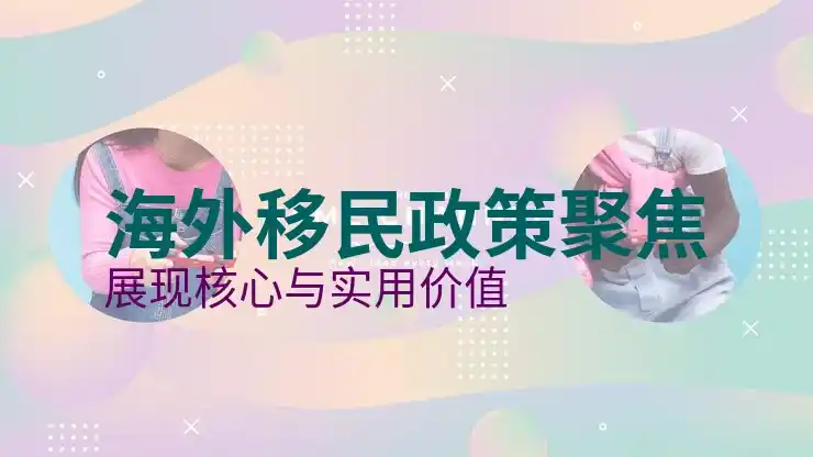 深圳移民中介公司如何确保移民投资项目的透明度？