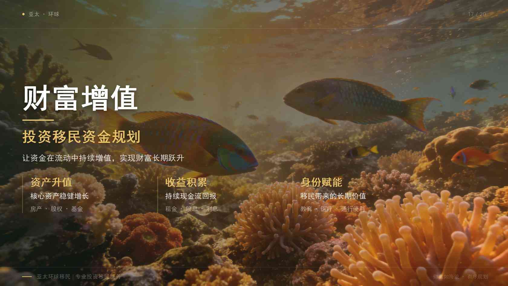 全球护照申请流程有哪些关键节点？材料有效期与补件风险说明