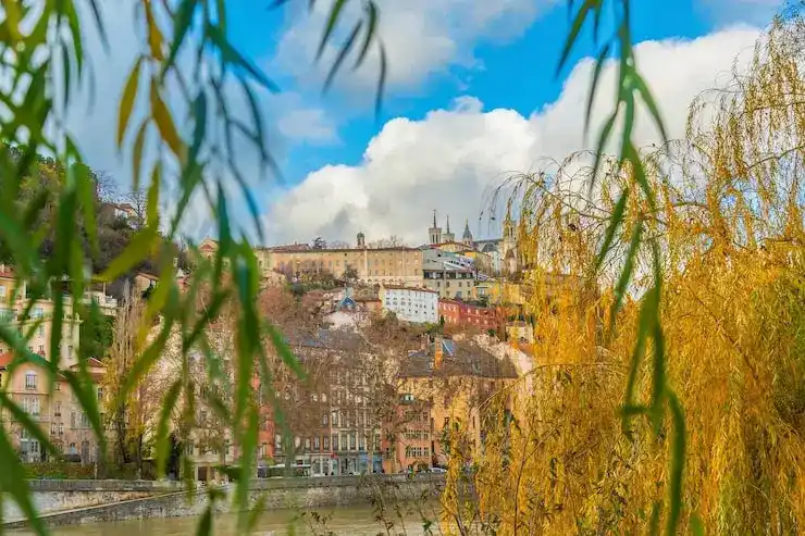 家庭移民 三代同堂获批国家