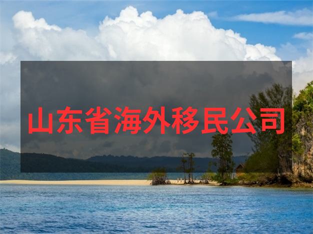 土耳其银行开户流程新移民资金证明与账户管理指南