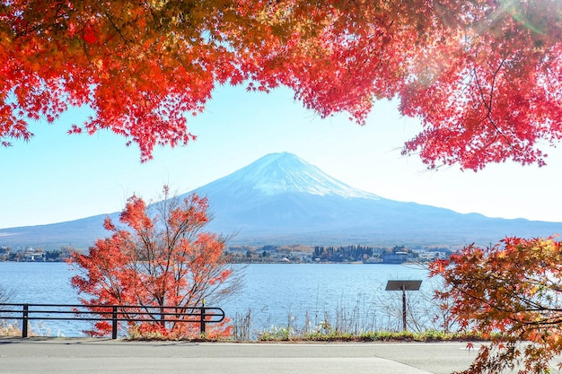 日本移民