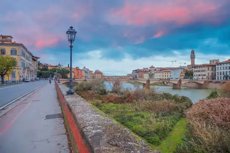 申请人如何查询马绍尔移民申请的实时进度？