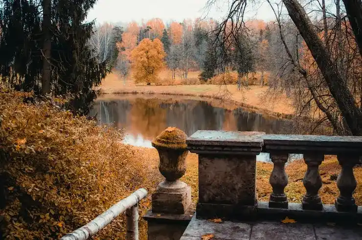 圣卢西亚购房移民的房产可以出租吗？租金收益如何？