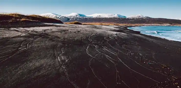 续签不麻烦？多米尼克福利持续享