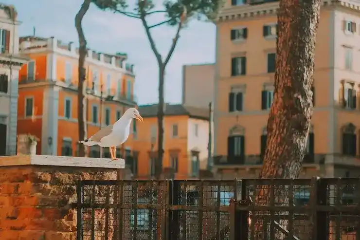 爱尔兰居留申请需缴纳多少申请费？主申请人与附属申请人费用有差异吗？