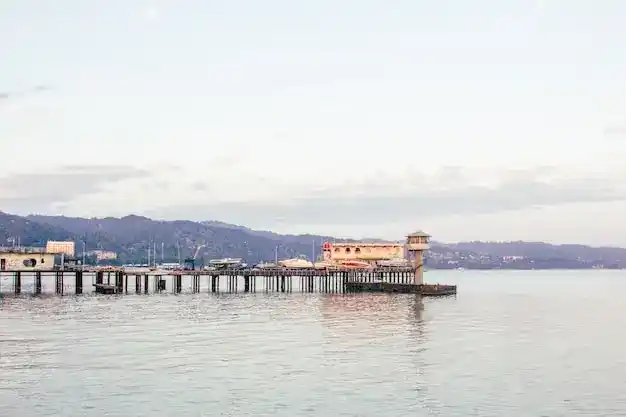 移民