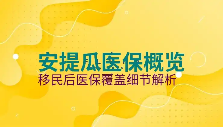 安提瓜移民公司哪家靠谱？五类骗局防范指南