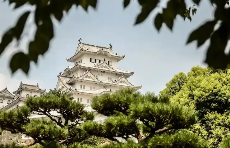 在美国申请英国签证的条件与步骤