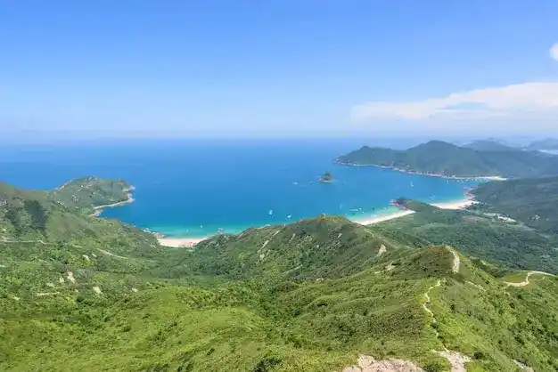 罗马尼亚移民企业所得税16%，个人所得税10%，税务环境友好