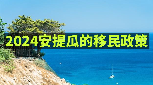 安提瓜移民条件中，对申请人的国际旅行记录是否有要求？