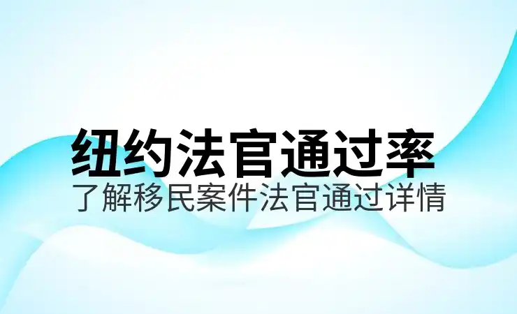 移民法官通过率查询2025，移民案件的审理成功率