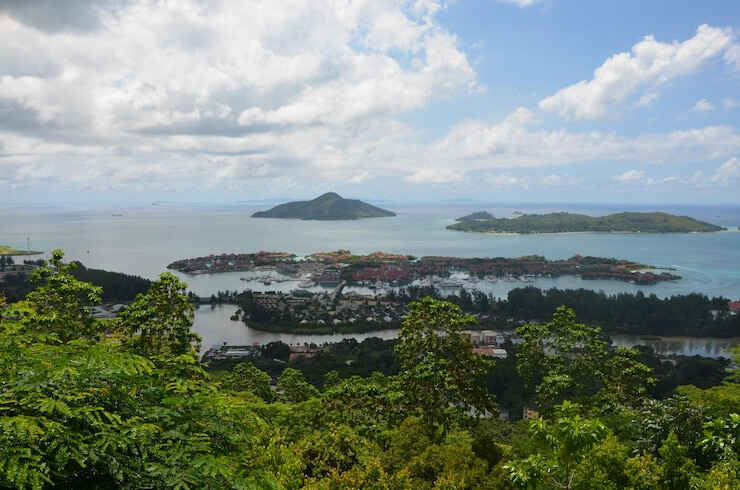 附属申请人可以单独申请更换多米尼克护照吗？