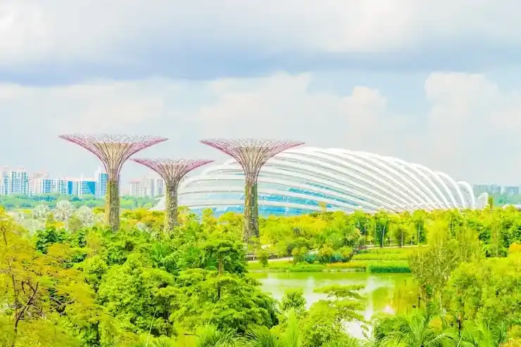 新加坡绿卡申请