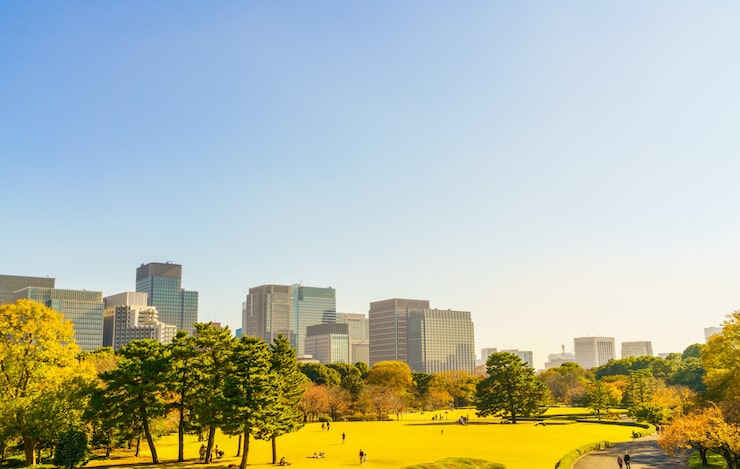 境外银行账户关闭怎么办？账户关闭及资金转移指南