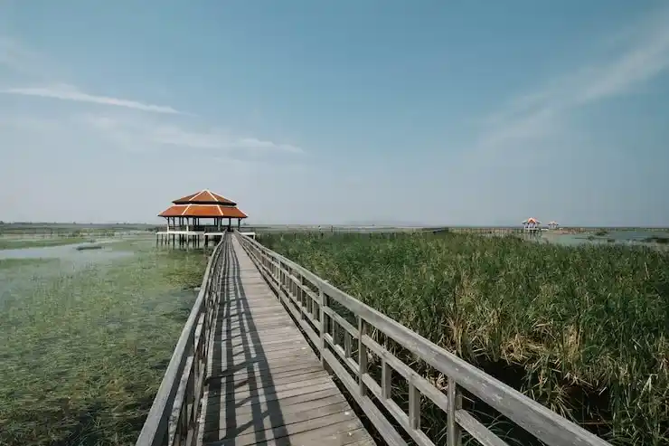 马绍尔