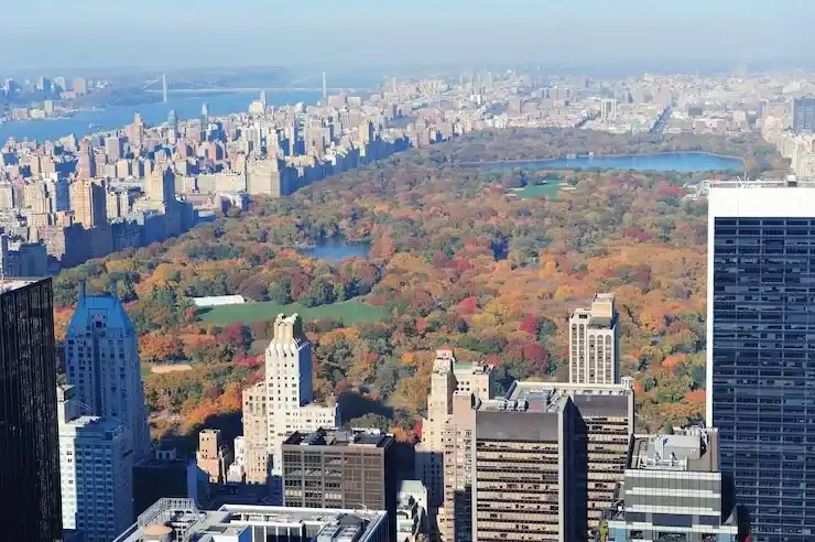 西班牙语移民：适合西班牙语国家的移民政策