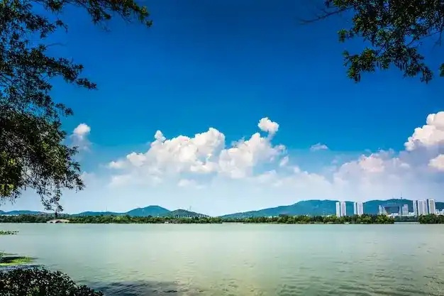 匈牙利客座投资者总成本，含背景调查及材料费