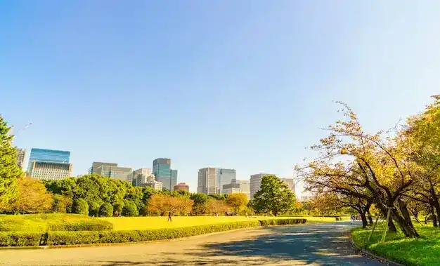 圣基茨和尼维斯投资入籍全解析：官方入口、最新政策、申请流程及避坑指南