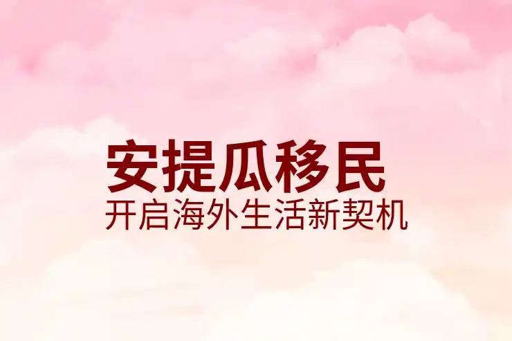 最新福利政策？多米尼克申请更便利了